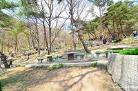 North Korean BBQ Park