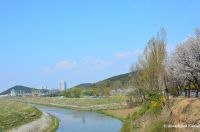 North Korean Theme Park