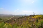 Sunny Day Near&nbsp;Pyongyang