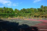 Abandoned Tennis Court