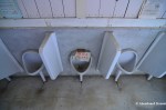 Abandoned School Toilet