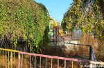 Deserted Carnival Ride