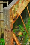 Rusty Handrail