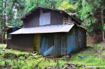Abandoned Japanese House