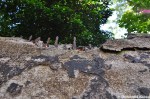 Spiky Concrete Wall