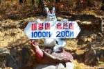 Animal Signpost, Mount Chilbo, North&nbsp;Korea