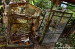Abandoned Greenhouse In An Unkempt&nbsp;Garden