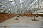 Abandoned Greenhouse