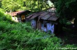 Dilapidated Japanese Shacks