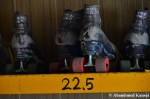 Abandoned Roller Skates
