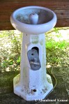 Abandoned Water Fountain