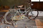 Abandoned Rusty Bike