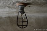 Rusty Light Bulb&nbsp;Protection