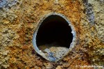 Hole In The&nbsp;Wall