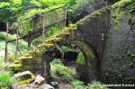 Abandoned Concrete Outdoor Steps