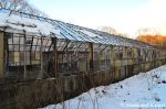 Abandoned Hokkaido Greenhouse