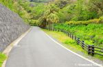 Side Road On&nbsp;Hachijojima