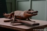 Taxidermy Caiman