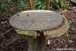 Abandoned Explanation Sign