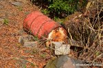 Abandoned Red Barrel