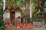 Abandoned Shizuoka