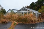Deserted Greenhouse