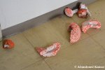 Brain Scattered All Over The&nbsp;Floor