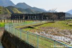 Abandoned Japanese Railyard