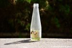 Abandoned Soda Bottle