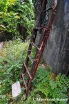 Rusty Ladder To The&nbsp;Roof