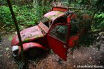 Abandoned French Car