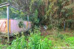 Abandoned Play Equipment