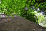 Looking Up The&nbsp;Bunker