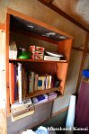 Abandoned Book Shelf