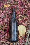 Old Abandoned Japanese Beer&nbsp;Bottle
