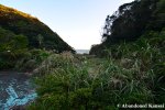 Overgrown Namegawa Island