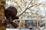 Sackboy Does Hanami In A Park In&nbsp;Osaka