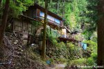 Abandoned Japanese House In The Middle Of The Woods