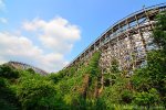 Overgrown Nara Dreamland