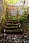 Overgrown Staircase