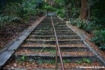 stairs-at-an-abandoned-shrine