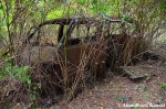 abandoned-japanese-car-beyond-repair