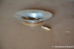 Used Abandoned Ashtray