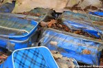 Abandoned Blue Bags