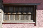 Ryokan Wall