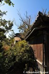 Wooden Ryokan Building