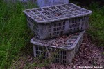Abandoned Grey Transport Boxes