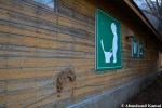 Japanese Toilet Sign