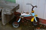 Abandoned Tricycle