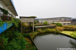 Deserted Japanese Pig&nbsp;Farm